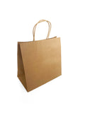 Paper Twist Handle Brown Paper Bag