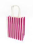 Colourful Paper Twist Handle Paper Bags